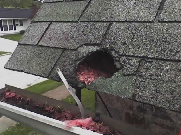 A raccoon damaged this roof. Notice the pink insulation pulled out into the gutter.
