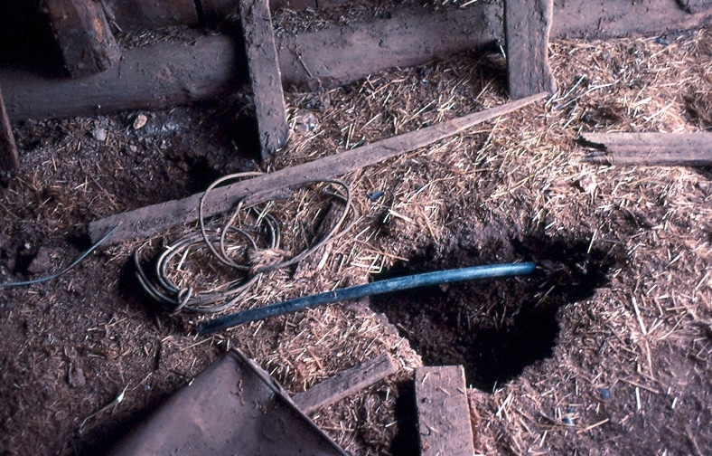 Woodchuck burrow in a barn. Woodchucks will sometimes burrow inside barns or sheds that are not actively used.