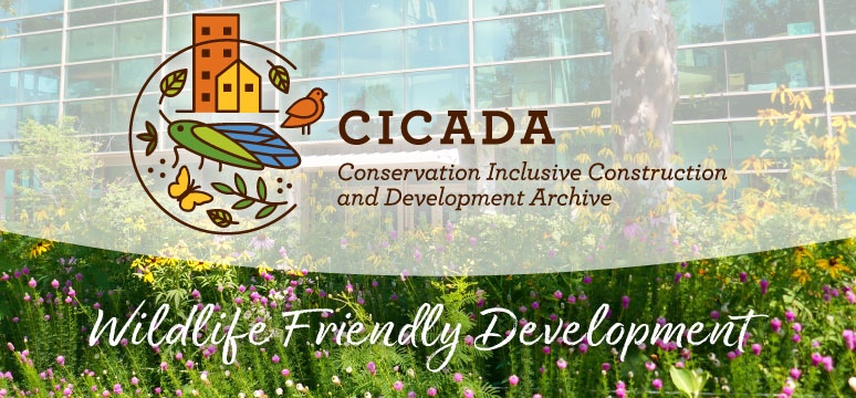Link to CICADA: Conservation Inclusive development