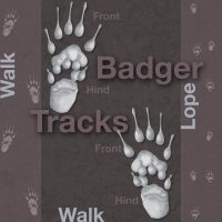 Badger-Tracks