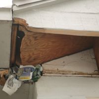 Newspaper was loosely stuffed into the hole in this damaged soffit to see if the animal was still getting into the house. Some of the paper was removed from the hole by the squirrel, letting the homeowner know an animal was still gaining access.