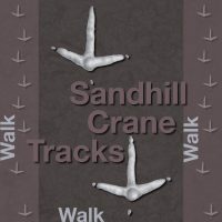 SandhillCraneTracks-Tracks