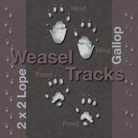 Weasel-Tracks
